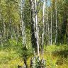 20140906_111415.jpg