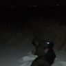 IMG_20150129_215524.jpg
