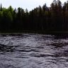 DSC02970.JPG
