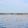 DSC_0722.JPG