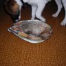 DSCN2510.JPG