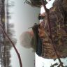 IMG_20121104_123405.jpg