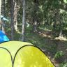 DSC02650.JPG