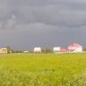 DSC00078.JPG