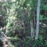 DSC02592.JPG