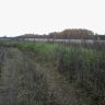 20141011_145708.jpg