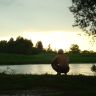 DSC00981.JPG