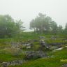 SDC12042.JPG