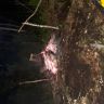 20180614_015822.jpg