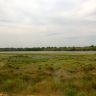 WP_20130630_023.jpg