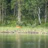 IMG_0783.JPG