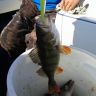 20140727_104010.jpg