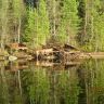 IMG_0192.JPG