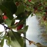 DSC01440.JPG