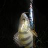 DSCN5722.JPG