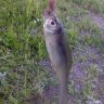 DSC00068.JPG