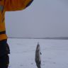 photo_00039.jpg