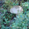 DSC03693.JPG