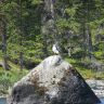 IMG_0615.JPG