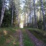 20170828_074337.jpg