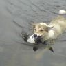 DSC00176.JPG