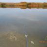DSCN4079.JPG