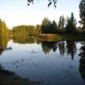 IMG_2936.jpg