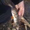 WP_000980.jpg