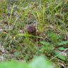 DSC02918.JPG