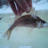 DSC00241.JPG