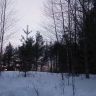 photo_00393.jpg