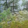 DSC02979.JPG
