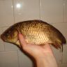 DSC03057.JPG