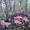 DSC01422.JPG