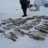 fishing35.ru