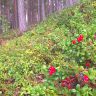photo_00029.jpg