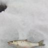 IMG_20150220_105332.jpg