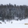 IMG_0229.JPG