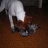 DSCN2499.JPG