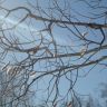 DSC07591.JPG
