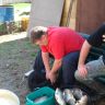 DSC00816.JPG