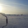 SDC19365.JPG