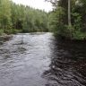 DSC03047.JPG