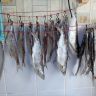 IMG_20130522_195552.jpg