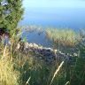 DSC01720.JPG