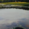 DSCN0504.JPG