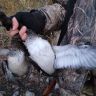 IMG_20201004_181806.jpg