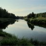 DSC02226.JPG
