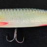 Jaguan Bent Minnow