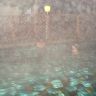 DSC01317.JPG